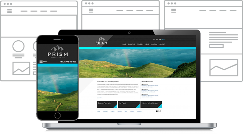 Custom Website